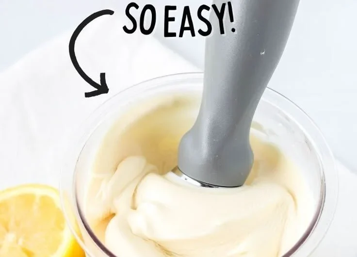 Homemade Ninja Creami Lemon Gelato served in a bowl with a lemon garnish.
