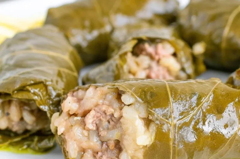 Homemade stuffed grape leaves served on a plate, garnished with lemon slices.